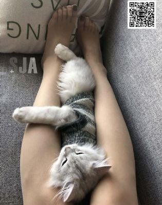 51精品免费视频国产区_1080P完整在线观看